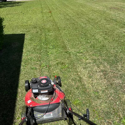 Mmowingandmore LLC