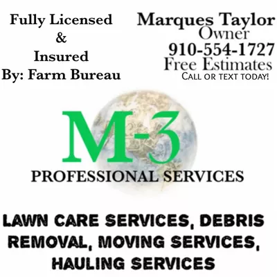 M3Professional Services
