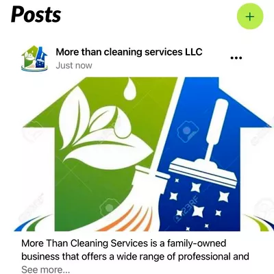 More Than Cleaning Services LLC