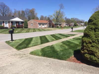 TEJ Lawncare