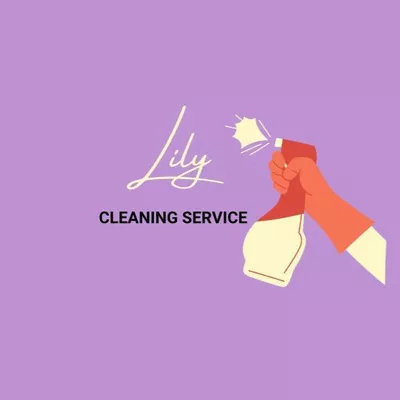 Lily's Cleaning