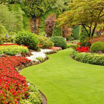 Ephraim landscape service