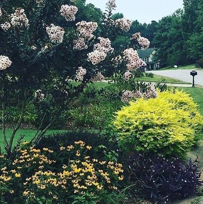Petals & Pots LLC