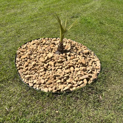 Michael’s Lawn Service