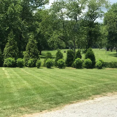 Usher lawncare / landscape