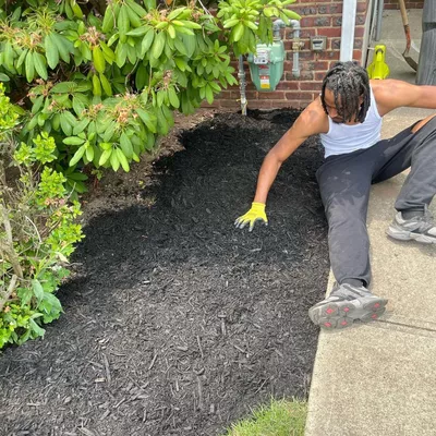 Santana landscaping
