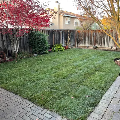 Jose Torres gardening