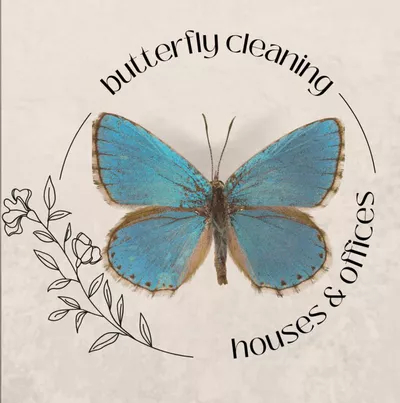 Butterfly Cleaning