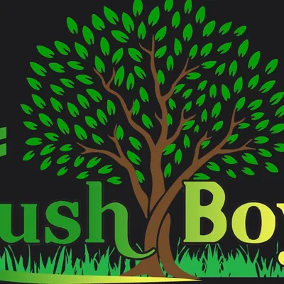The Bush Boys LLC