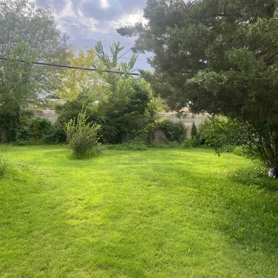Green Fix Landscape