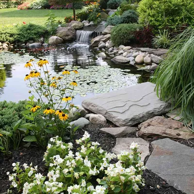 Eden Pro Garden and Landscaping
