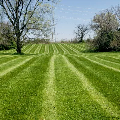 Allen Lawncare