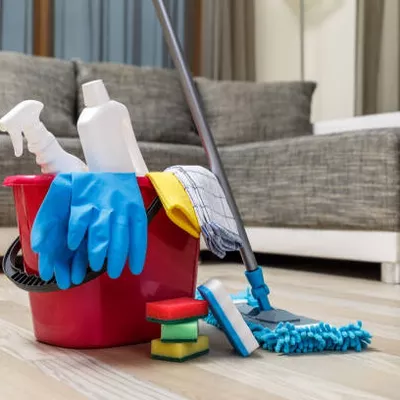 Falcon cleaners