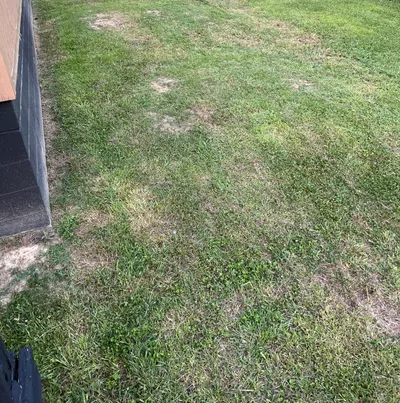 Lawn changer