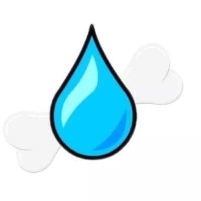 Bone Dry Water Removal