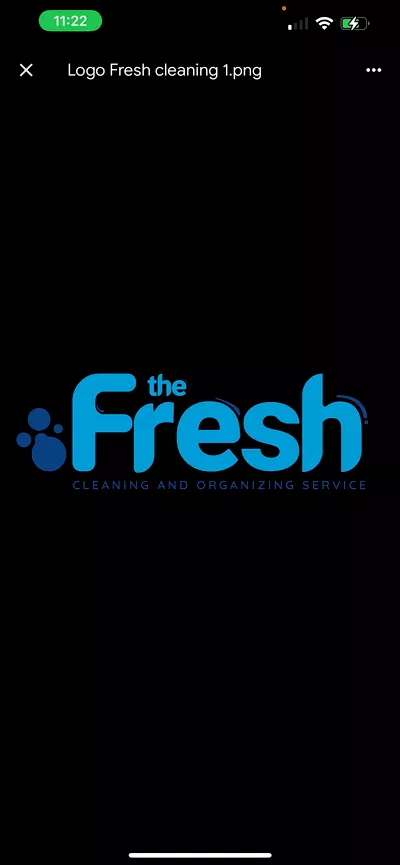 THE FRESH Cleaning and organizing service
