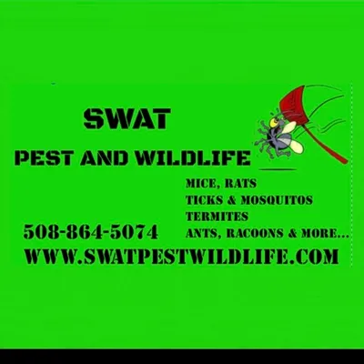 Swat Pest And Wildlife