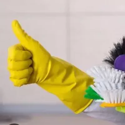 House cleaner