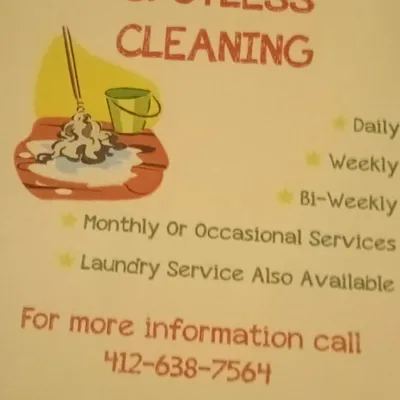 SYD'S SPOTLESS CLEANING