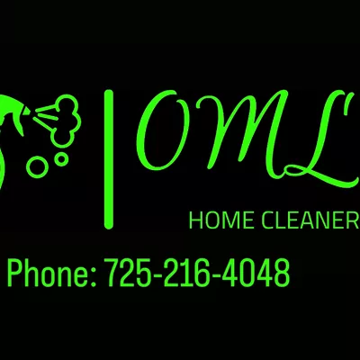 OML HOME CLEANER