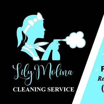 Lily’s cleaning service