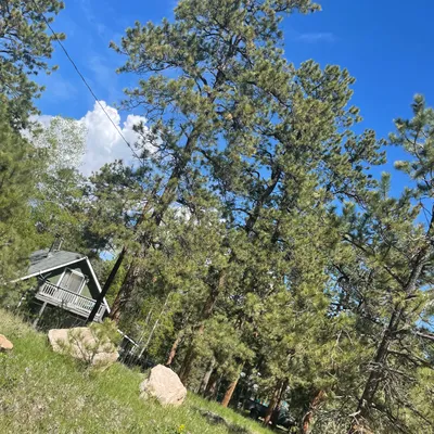 Mountain High Cleaning