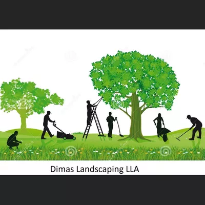 Dimas landscaping lla