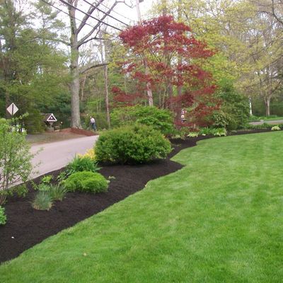 Carlos Landscaping