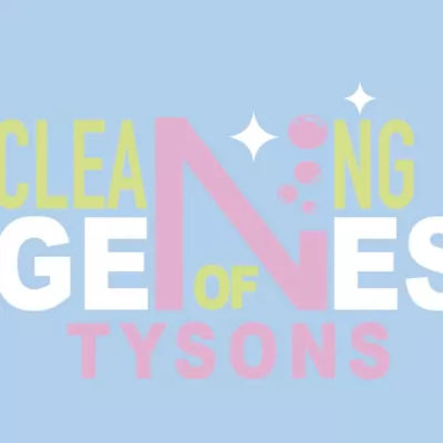 Cleaning Genies of Tysons LLC