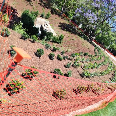 CA irrigation landscape design
