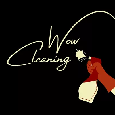 Wowcleaning