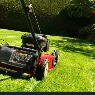 Ciscos’s Lawn Amigos
