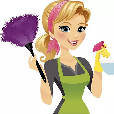 Colorful colorado cleaning Services LLC