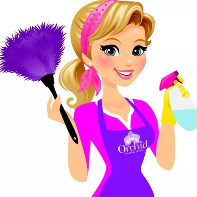 Brazilian Wonder Cleaners