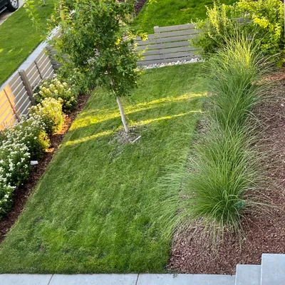 Sharp Lawn,Tree & Landscaping