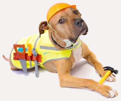 Lifetime Roofing and Renovation