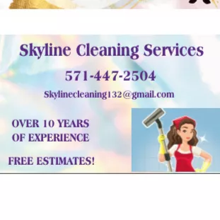 Skyline Home  Cleaning