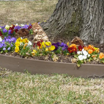 Teals Lawn Care Services
