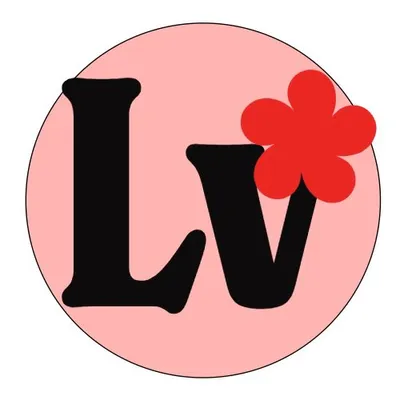 LV Cleaning service