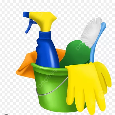 Cleaning family