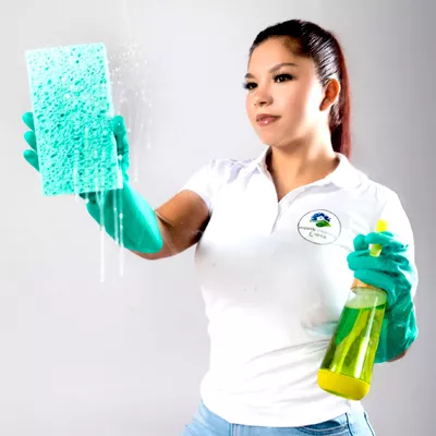 Organic cleaning queen llc