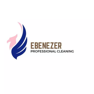 Ebenezer Professional Cleaning LLC