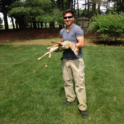 D’Armando Landscape services