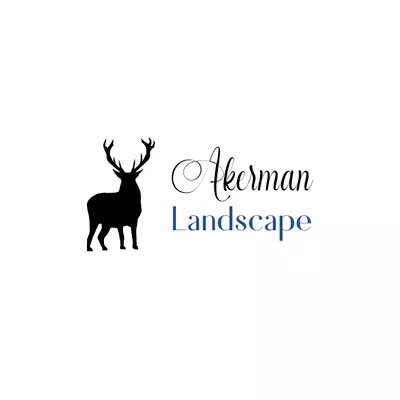 Ackerman Landscape
