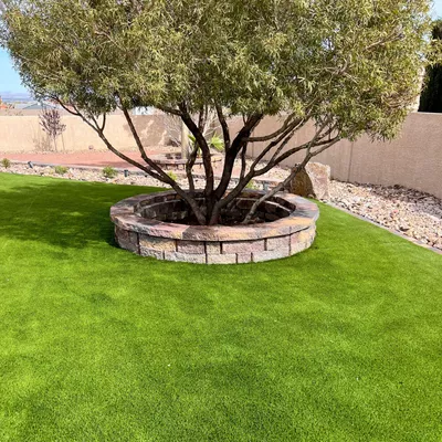 Las Vegas Landscaping needs