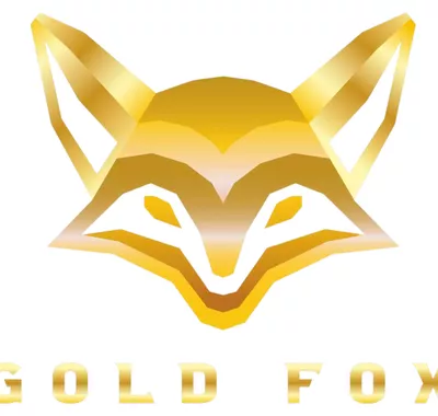 GOLD FOX HOME LLC