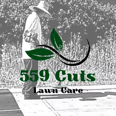 559 Cuts Lawn Care