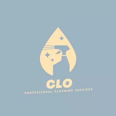 CLO CLEANING LLC