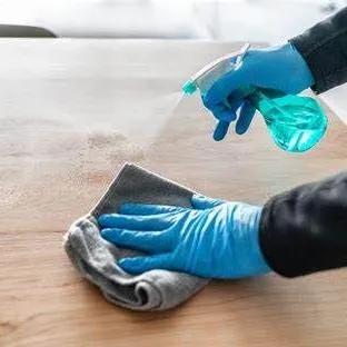 Raegan's cleaning company