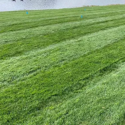 Graze Lawn Care